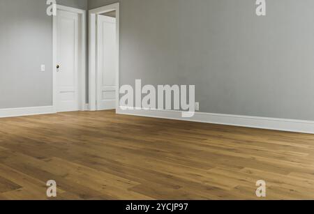 Camera spaziosa e luminosa con pavimento in legno e pareti bianche. Foto Stock