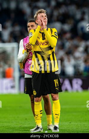 Madrid, spagnolo. 22 ottobre 2024. 22.10.2024, Real Madrid vs. Borussia Dortmund, UEFA Champions League, 3. Credito Spieltag: dpa/Alamy Live News Foto Stock