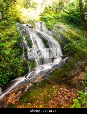 Una piccola cascata, nascosti nella foresta pluviale tropicale. Della Thailandia Foto Stock