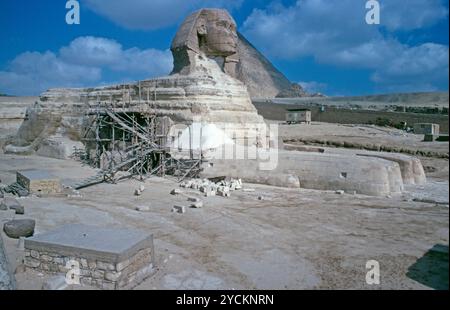 Grande Sfinge di Giza, sito di costruzione, grande Piramide di Giza, il Cairo, Egitto, settembre 1989 Foto Stock