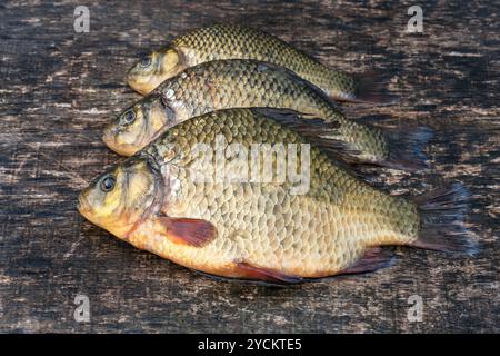 Crostacei vivi di pesce d'acqua dolce sulla vecchia tavola di legno Foto Stock