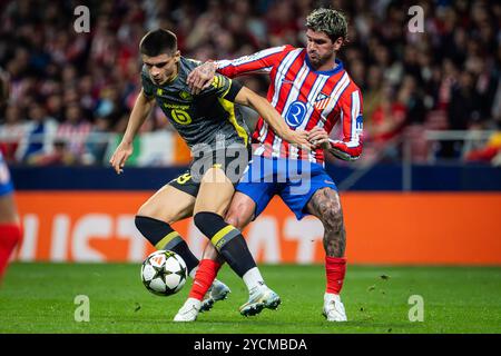 Madrid, Espagne. 23 ottobre 2024. Matias FERNANDEZ-PARDO di Lille e Rodrigo DE PAUL dell'Atletico Madrid durante la partita di calcio UEFA Champions League, fase di League MD3 tra Atletico de Madrid e Losc Lille il 23 ottobre 2024 allo stadio Riyadh Air Metropolitano di Madrid, Spagna - foto Matthieu Mirville/DPPI credito: DPPI Media/Alamy Live News Foto Stock