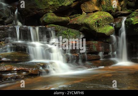 Acqua che si getta sulle rocce coperte di muschio a Somersby Falls, Australia. Foto Stock