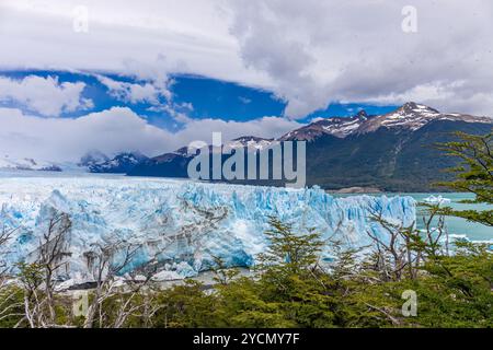 Gli iceberg Galcier galleggiano nel lago. Pareti di ghiaccio blu dell'enorme ghiacciaio della patagonia Perito Moreno in Argentina. Terra della Patagonia di ghiaccio blu Foto Stock