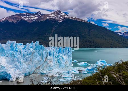 Gli iceberg Galcier galleggiano nel lago. Pareti di ghiaccio blu dell'enorme ghiacciaio della patagonia Perito Moreno in Argentina. Terra della Patagonia di ghiaccio blu Foto Stock