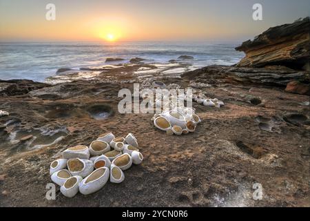 BONDI, AUSTRALIA - 30 OTTOBRE 2014; Sculpture by the Sea Annual Festival Event 2014. Scultura intitolata a prendersi cura dell'artista Hannah Streefkerk, S. Foto Stock