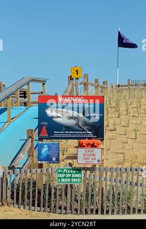 Cartello segnaletico per gli squali bianchi alla rampa per Nauset Beach, Orleans, Massachusetts, a Cape Cod in autunno Foto Stock