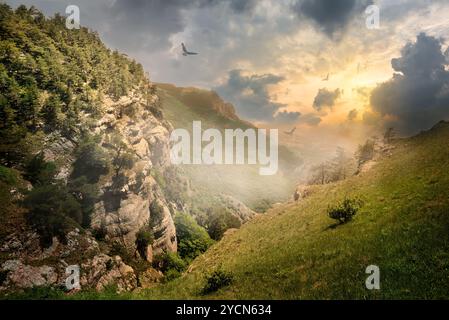 Uccelli sopra le rocce Foto Stock