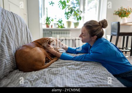 Una donna premurosa e premurosa proprietaria di un cane che accarezza il triste animale domestico vizsla sdraiato sul divano, tenero che comunica a casa Foto Stock