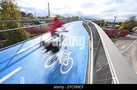 23 ottobre 2024, Baden-Württemberg, Tübingen: Un ciclista attraversa il ponte ciclabile ovest a Tübingen (effetto di pulizia dovuto alla lunga esposizione). Il nuovo ponte è largo circa quattro metri, lungo circa 365 metri, comprese le rampe e alto dieci metri nel suo punto più alto. La carreggiata viene riscaldata in inverno in modo da non dover spalmare sale. Foto: Bernd Weißbrod/dpa Foto Stock