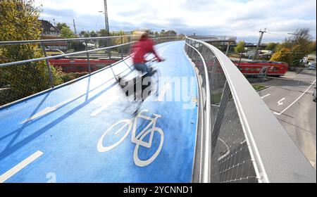 23 ottobre 2024, Baden-Württemberg, Tübingen: Un ciclista attraversa il ponte ciclabile ovest a Tübingen (effetto di pulizia dovuto alla lunga esposizione). Il nuovo ponte è largo circa quattro metri, lungo circa 365 metri, comprese le rampe e alto dieci metri nel suo punto più alto. La carreggiata viene riscaldata in inverno in modo da non dover spalmare sale. Foto: Bernd Weißbrod/dpa Foto Stock