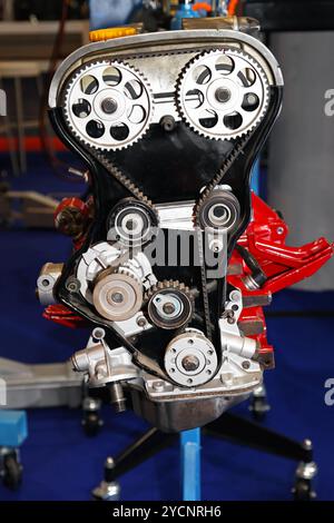 Cinghia di distribuzione Foto Stock