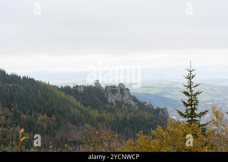 Vista panoramica di un crinale roccioso di montagna circondato da una fitta pineta e da una valle lontana sotto il cielo nuvoloso. Concetto di natura, paesaggio, escursioni Foto Stock