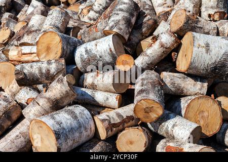 Tritate a secco di legna da ardere di betulla log in pila. Sullo sfondo della natura Foto Stock