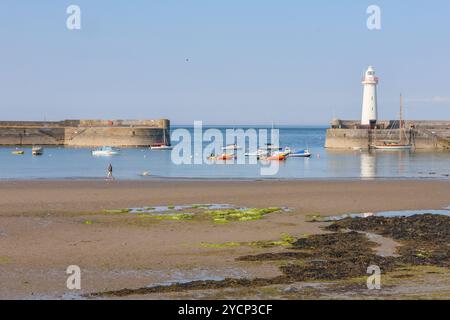 Uomo che cammina lungo la spiaggia sabbiosa County Down con il cane nel porto di Donaghadee, nel faro di Donaghadee e nel molo del porto. Foto Stock