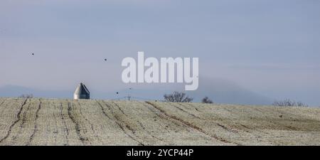 Terreno agricolo del Regno Unito con gelo mattutino, campo ricoperto di gelo nell'Irlanda del Nord. Mattina ghiacciata nella campagna rurale. Foto Stock