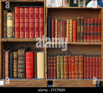 Libri medievali in scaffali in legno Foto Stock