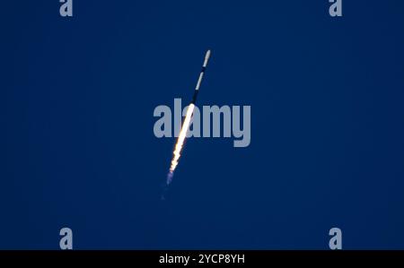 Cape Canaveral, Florida, Stati Uniti. 23 ottobre 2024. Un razzo Falcon 9 SpaceX che trasporta 23 satelliti Starlink si solleva dallo Space Launch Complex-40 alla Cape Canaveral Space Force Station, Florida, alle 17:47 PM EDT del 23 ottobre 2024 (Credit Image: © Charles Briggs/ZUMA Press Wire) SOLO PER USO EDITORIALE! Non per USO commerciale! Foto Stock