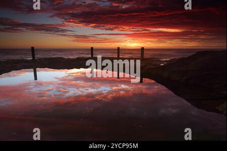 Spettacolare alba su Ivo Rowe Rockpool Coogee Australia Foto Stock