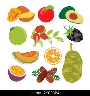 Una selezione variegata di deliziosa frutta fresca Illustrazione Vettoriale
