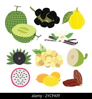Una selezione variegata di deliziosa frutta fresca Illustrazione Vettoriale