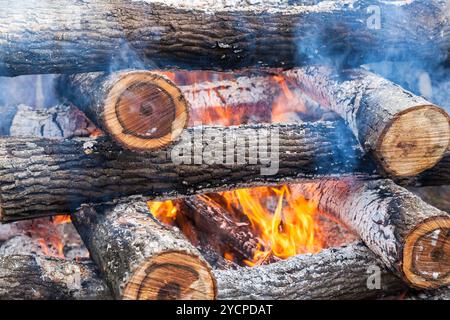 La combustione di legna da ardere nel fuoco closeup Foto Stock