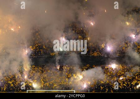 Berna, Svizzera. 23 ottobre 2024. Berna, Svizzera, 23 ottobre 2024: Tifosi del BSC Young Boys prima della partita di calcio della UEFA Champions League tra BSC Young Boys e FC Internazionale allo Stadion Wankdorf di Berna, Svizzera. Philipp Kresnik (Philipp Kresnik/Kresnikphotographie/SPP) credito: SPP Sport Press Photo. /Alamy Live News Foto Stock