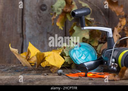 Pesca di placcaggi su legno d'autunno Foto Stock