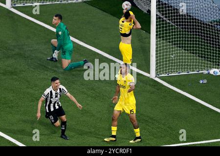 Rio de Janeiro, Brasile. 23 ottobre 2024. Jefferson Savarino di Botafogo festeggia dopo aver segnato il secondo gol della sua squadra durante la partita tra il Brasile Botafogo e l'Uruguay Penarol per la partita di andata la semifinale di Copa Libertadores 2024, allo stadio Nilton Santos, a Rio de Janeiro, Brasile il 23 ottobre 2024 foto: Satiro Sodre/DiaEsportivo/Alamy Live News Credit: DiaEsportivo/Alamy Live News Foto Stock