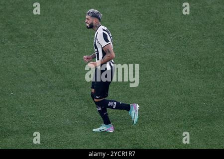 Rio de Janeiro, Brasile. 23 ottobre 2024. Alexander Barboza di Botafogo festeggia dopo aver segnato il secondo gol della sua squadra durante la partita tra il Brasile Botafogo e l'Uruguay Penarol per la partita di andata la semifinale di Copa Libertadores 2024, allo stadio Nilton Santos, a Rio de Janeiro, Brasile il 23 ottobre 2024 foto: Satiro Sodre/DiaEsportivo/Alamy Live News Credit: DiaEsportivo/Alamy Live News Foto Stock