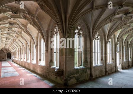 Monastero, monastero cistercense Bebenhausen, Tübingen, Baden-Württemberg, Germania Foto Stock