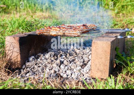 Barbecue con deliziose grigliate di carne sul forno improvvisato in mattoni Foto Stock