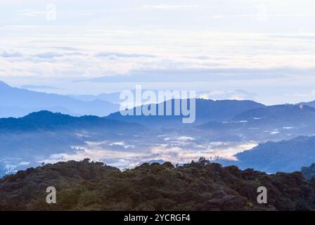 Alba sulla giungla negli altopiani di cameron, Malesia Foto Stock