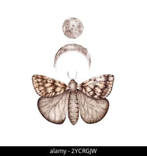 Farfalla e due lune in colore marrone e beige illustrazione acquerello. Insetto isolato dallo sfondo. Astrologia delle fasi lunari. Concetto di design per Foto Stock