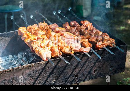 Appetitoso hot shish kebab su spiedini di metallo Foto Stock