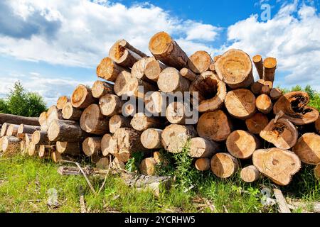 Pile di legname lungo la strada forestale in estate Foto Stock