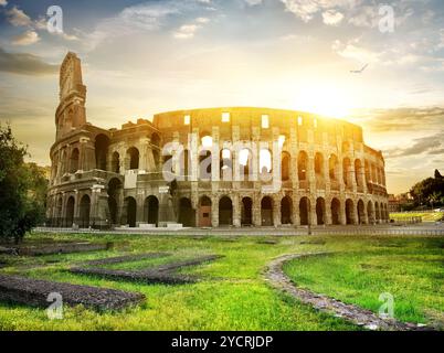 Bird oltre il Colosseo e il bel giallo tramonto Foto Stock