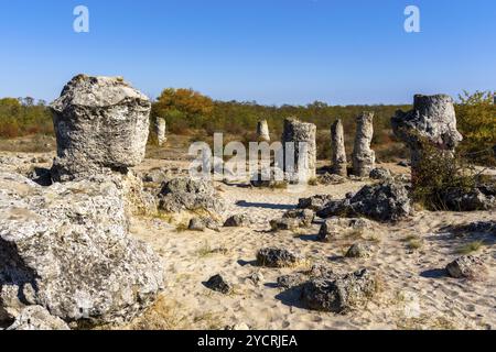 Una vista della foresta di pietre di Pobiti Kamania e del deserto nella provincia di Varna in Bulgaria Foto Stock