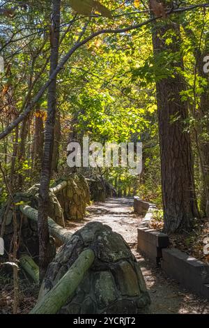 Rim Trail presso il Cloudland Canyon State Park sulla Lookout Mountain a Rising Fawn, Georgia. (USA) Foto Stock