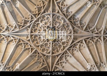 St Davids, Regno Unito, 28 agosto 2022: Vista ravvicinata del soffitto in legno e dello stemma della cattedrale di Saint Davids nel Pembrokeshire, Europa Foto Stock