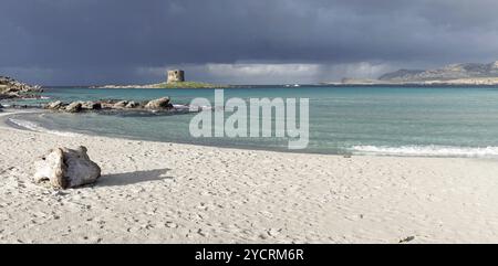 Vista panoramica sull'idilliaca spiaggia di sabbia bianca di la Pelosa, nella Sardegna nord-occidentale Foto Stock