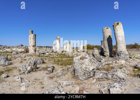 Una vista della foresta di pietre di Pobiti Kamania e del deserto nella provincia di Varna in Bulgaria Foto Stock