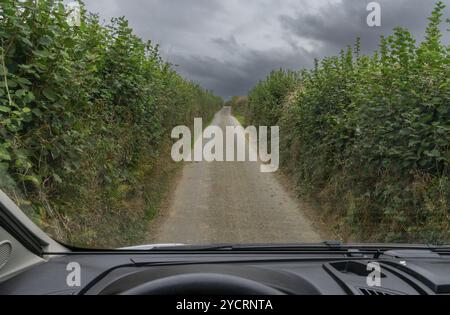 Una vista attraverso il parabrezza di un camper che guida lungo una strada di campagna estremamente stretta con alte siepi su entrambi i lati Foto Stock