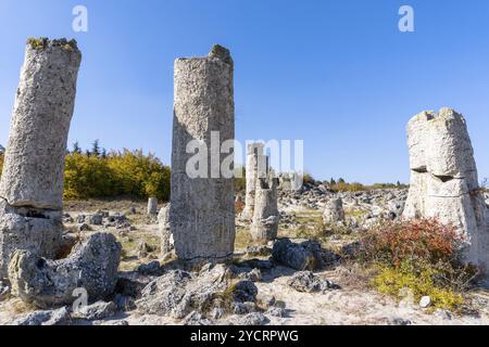 Una vista della foresta di pietre di Pobiti Kamania e del deserto nella provincia di Varna in Bulgaria Foto Stock