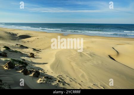 Vista della spiaggia sabbiosa e del mare a Cannon Rocks Trail, Parco Nazionale degli Elefanti di Addo, Capo Orientale, Sud Africa Foto Stock