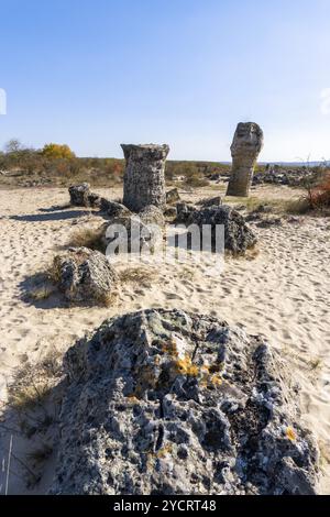 Una vista della foresta di pietre di Pobiti Kamania e del deserto nella provincia di Varna in Bulgaria Foto Stock