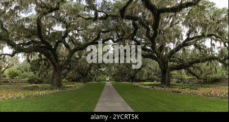 Murrells Inlet, Stati Uniti, 21 giugno, 2023: panoramica panoramica della Live Oak Allee a Brookgreen Gardens, Nord America Foto Stock