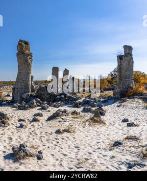 Una vista della foresta di pietre di Pobiti Kamania e del deserto nella provincia di Varna in Bulgaria Foto Stock