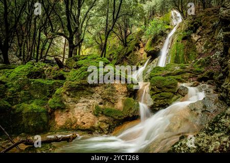 Torrent de Coanegra, cascata es Freu, Orient, Bunyola, Maiorca, isole Baleari, Spagna Foto Stock