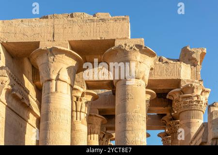 Kom Ombo, Egitto; 17 gennaio 2024: Tuffati nel cuore del tempio di Kom Ombo e scopri i segreti del dio coccodrillo Sobek. Foto Stock